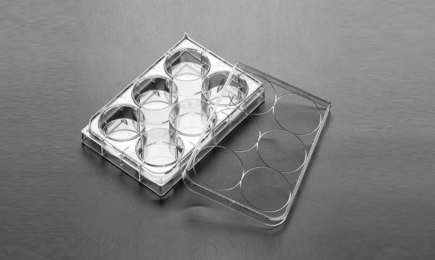 24孔细胞培养板